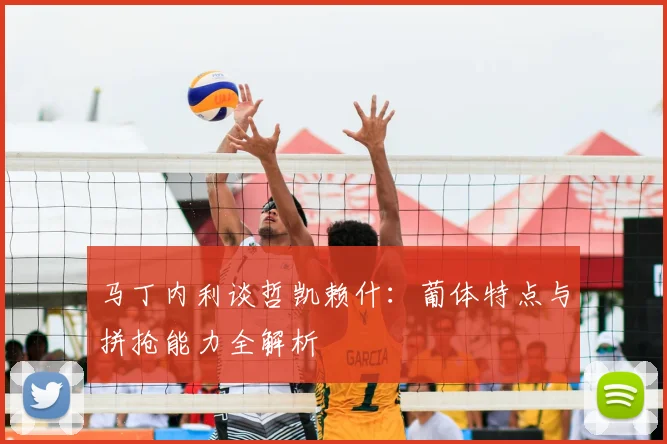 马丁内利谈哲凯赖什：葡体特点与拼抢能力全解析