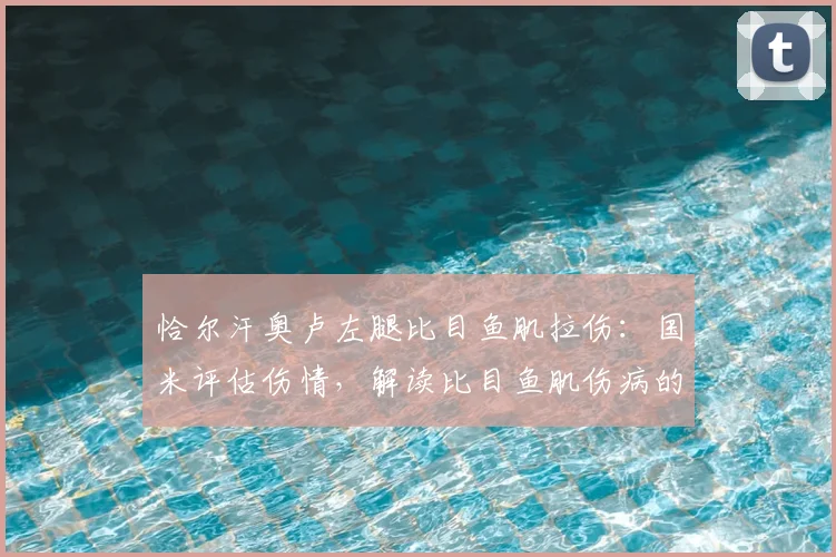 恰尔汗奥卢左腿比目鱼肌拉伤：国米评估伤情，解读比目鱼肌伤病的恢复时间与影响
