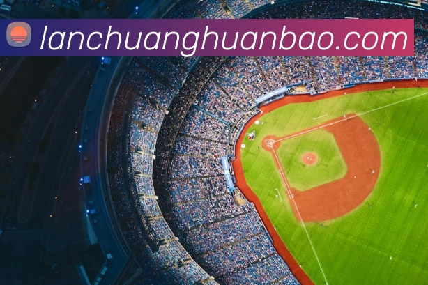 九游体育APP 封面图